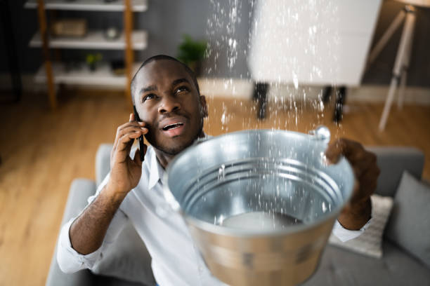 Best Water damage restoration specialists  in La Grange, TX