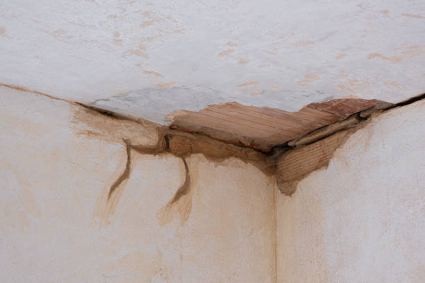 Best Mold removal after water damage  in La Grange, TX