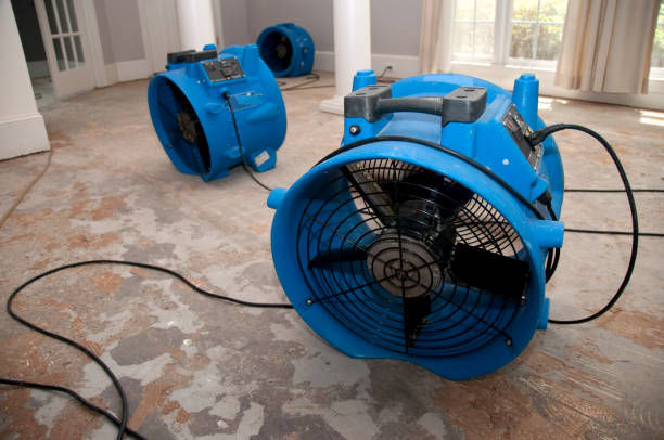 Best Water damage restoration near me  in La Grange, TX