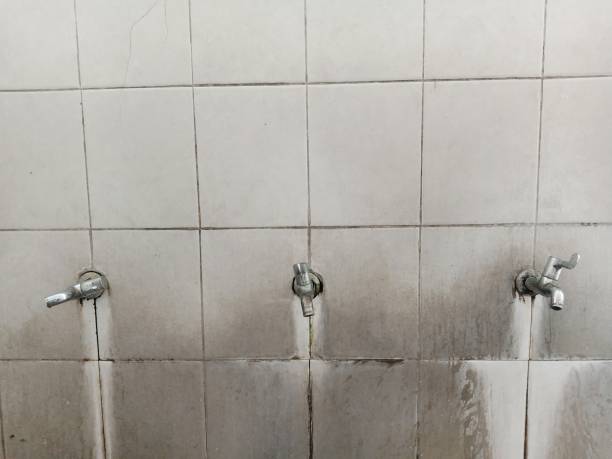 Best Water damage mitigation services  in La Grange, TX