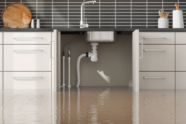 Best Professional water damage repair  in La Grange, TX